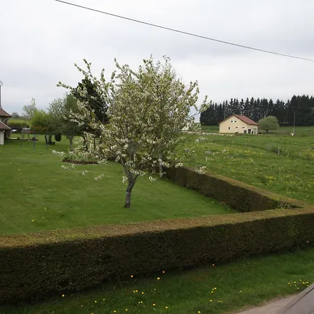 Nature, 15 Km De Gérardmer, Randonnée, Ski, Jardin, Terrasse, Bbq, équipements Bébé Inclus - Fr-1-589-64 Casa di campagna *