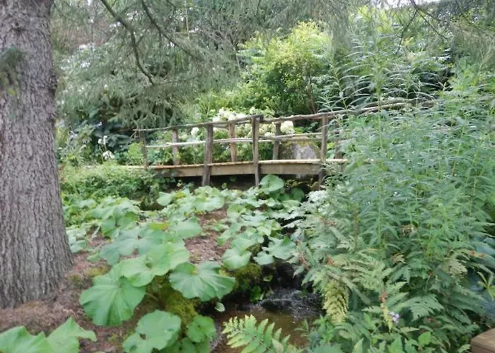 Nature, 15 Km De Gerardmer, Randonnee, Ski, Jardin, Terrasse, Bbq, Equipements Bebe Inclus - Fr-1-589-64 *